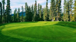 Meadow Lakes Golf Resort on GolfCritique.com